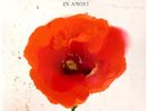 ALAIN BASHUNG - EN AMONT - Vinyle coloré Edition limitée - Précommande