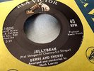Gerri and Sherri 45 Jellybean/Gotta Make It Grow RCA Victor Teen Girl Group NM