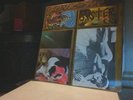 Sonic Youth  Sister 1st press with insert   Thurston kim   nirvana