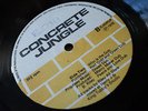 ? CONCRETE JUNGLE UK DUB LP RILEY ALL STARS KING TUBBY'S HARRY J REGGAE 1976