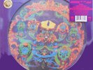 GRATEFUL DEAD LP Anthem Of The Sun PICTURE DISC 50th Anniversary Limited Ed 2018
