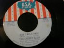THE CHERRY SLUSH I CANNOT STOP YOU 45 RECORD DON'T WALK AWAY GARAGE PSYCH