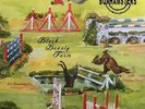 Boxhamsters - Black Beauty Farm Vinyl LP + CD NEU 0554754