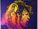 Robert Plant 