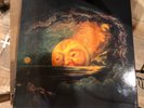 Smashing Pumpkins - Mellon Collie and the Infinite Sadness Vinyl Record Box Set