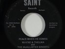 Wayne & Thelma & McAllister Singers 