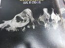 The Raconteurs live in london vinyl Third Man Records