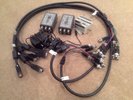 Two ALTINEX Video Isolators plus one Humbug