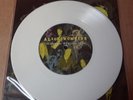 Alice in Chains Heaven Beside You 7