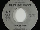 Brooklyn Skyways 