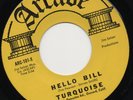 TURQUOISE hello bill*steel glass 1967 US ARCADE GARAGE PSYCH 7