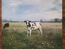 SCREAMING ABDABS - THE DARK SIDE OF THE MOO Vinyl LP Pink Floyd Rare Album
