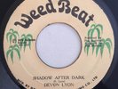 DEVON LYON - SHADOW AFTER DARK - WEED BEAT ( RARE ROOTS 7 )
