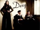 Dexys Midnight Runners One Day I'm Go... GER 2-LP  (Double )