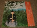 ULTRA-RARE Chinese Import Xiao Flute Traditional Folk Music FAST SHIPPING
