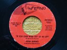 NORTHERN SOUL MUSIC RECORD IF YOU EVER WALK OUT OF MY LIFE WHO AM I DENA BARNES