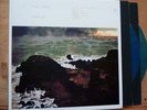 Fleet Foxes Crack-Up 2017 Ltd Ed Blue/Gold COLORED 2x Vinyl Nonesuch 558777-1