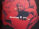 The Smashing Pumpkins - Adore Vinyl
