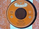 Club Gerry Friedrich- Holiday City- D- Polydor- 52183- Coverversion- Beach boys