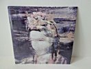 Bvdub : Drowning in Daylight limited edition clear VINYL Apollo ambient Kranky