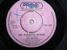 The Shakers-One Wonderful Moment-Probe Single 1967