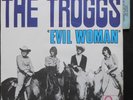 THE TROGGS EVIL WOMAN 7