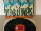 YOUNG FLOWERS Blomsterpistolen DK Sonet 1971-75 2nd pressing *EX* LP Psych