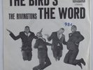R&B Rocker Doo Wop 45 RIVINGTONS Bird's The Word LIBERTY VG++ pic sleeve HEAR