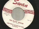 ROCKABILLY SURF INSTROS- LINK WRAY -  THE BLACK WIDOW  - HEAR-1963 SWAN
