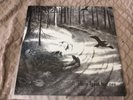 HVIS LYSET TAR OSS LP BOB 2005 mint disk nm- sleeve