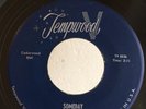 Rockabilly 45 Charlie Flener Someday on Tempwood HEAR VG++