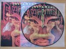 Testament / the gathering / Picture Disc / picture vinyl / Picture LP
