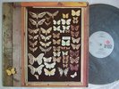 MAYFLY / 1973 DUTCH PSYCH FOLK