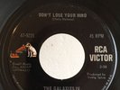 Garage Psych 45 The Galaxies IV Don't Lose Your Mind on RCA STOCK HEAR