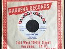 Paul Revere & Raiders, Gardena 137, Tall Cool One & Road Runner, Instrumentals