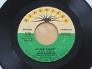 JAMES FOUNTAIN My Hair Is Nappy/Burning Up For Your Love 45 Funk Soul HEAR