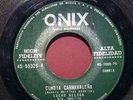 LUCHO NELSON ORQ. AMÉRICA - EXC.CUMBIA CARNAVALEÑA /RÍO MANZO CUMBIA BENDITA