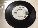 Terry Teene 45 Pussy Galore / Curse Of The Hearse Super Rare Garage Rock EX+