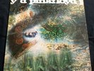 PINK FLOYD a saucerful of secrets COLUMBIA LP MONO 1968 ORIGINAL - PSYCH