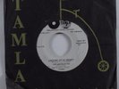 Northern Soul 45 MARVELETTES Locking Up My Heart TAMLA VG+ promo HEAR