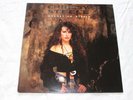 Chrissy Steele ?– Magnet To Steele Vinyl, LP 1991