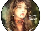 Kate Bush Interview Picture Disc picture disc LP vinyl album record UK BAK2006