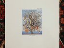 TALK TALK SPIRIT OF EDEN LP PARLOPHONE PCSD 105 1988 MARK HOLLIS ART ROCK