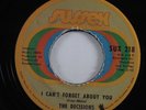 Northern/Sweet Soul 45 DECISIONS I Can't Forget About You SUSSEX HEAR