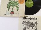 PLANTASIA - Mort Garson Orig Vinyl 1976 Moog Electronic *RARE*(w/ booklet)Shrink