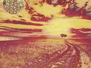GRIP WEEDS-TRIP AROUND THE SUN VINYL LP NEUF