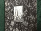 Flux of Pink Indians - Strive LP (Amebix/Crass/Rudimentary Peni/Icons of Filth)