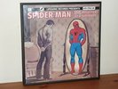 Spider-Man Rock Reflections of a Superhero LP Record With Stan Lee