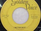 GARAGE PSYCH THE RUBBER BAND GOLDEN VOICE 4058 BETTER DAYS PARK PAVILION RARE IL