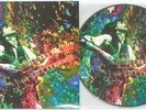 LED ZEPPELIN, Kashmir, NY, MSG, Feb. 1975 PICTURE DISC w/COVER, NEW